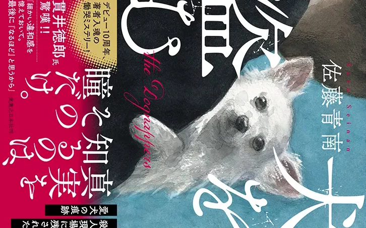 佐藤青南さんの単行本書籍「犬を盗む」の表紙を90度右にして写した画像