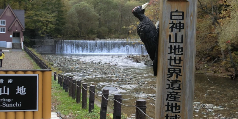 白神山地の世界遺産区域