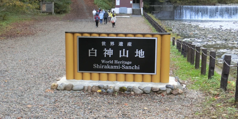 白神山地